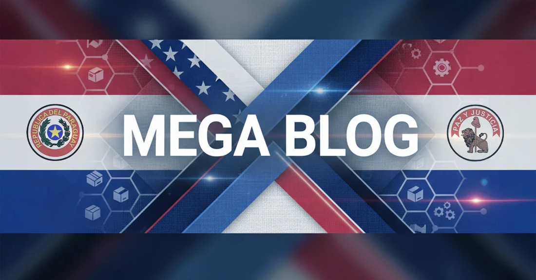 MEGA BLOG banner with USA and Paraguay flags, logistics icons, and tech-themed background.